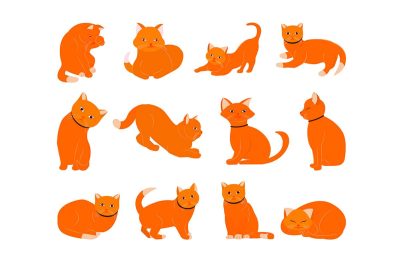 Cat body language chart